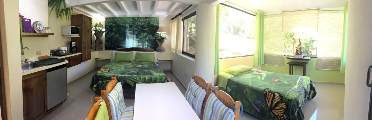 Paris Confort B&B Monteverde Exterior photo