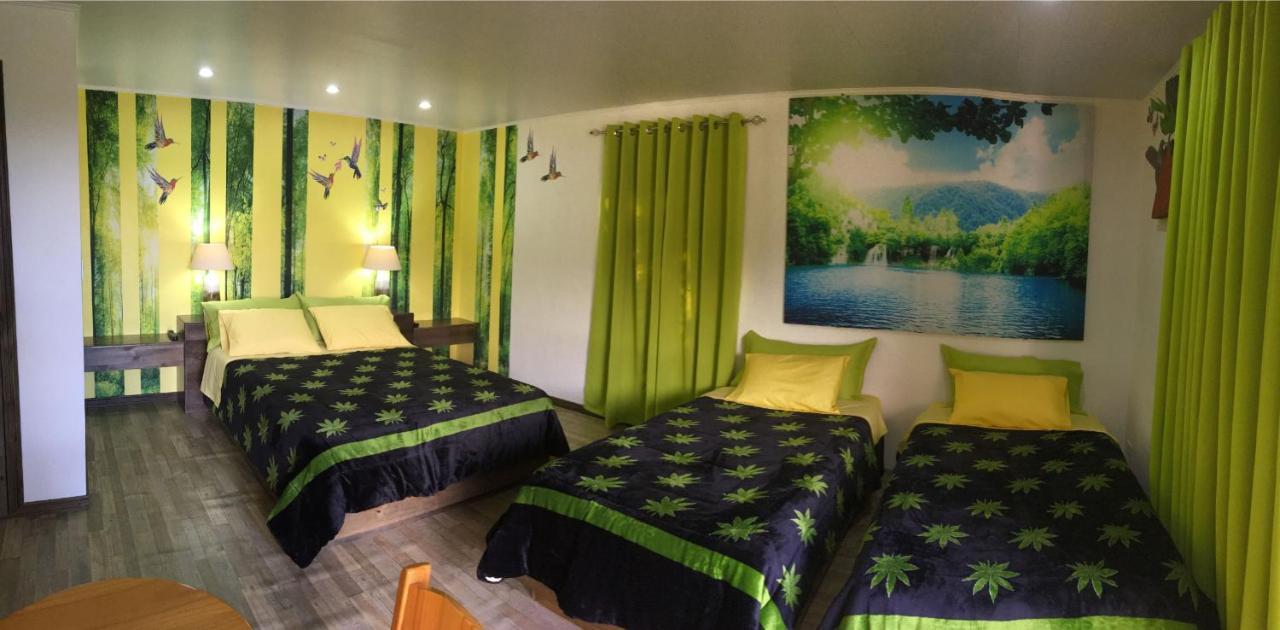 Paris Confort B&B Monteverde Exterior photo